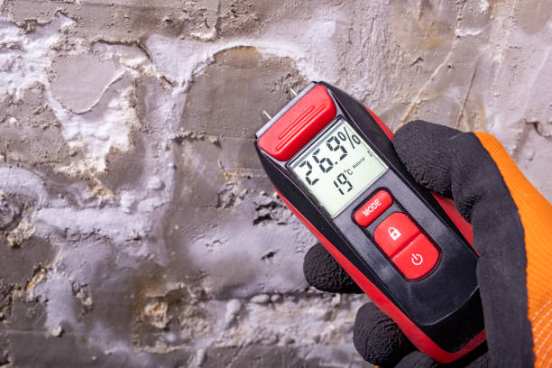 Best Attic Mold Removal  in Eldridge, IA