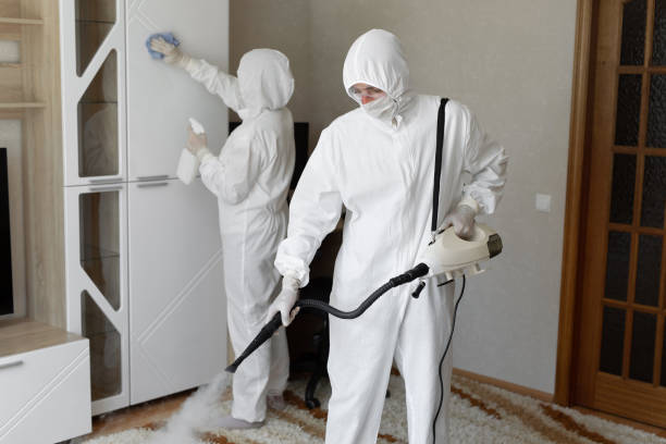 Best Toxic Mold Removal  in Eldridge, IA