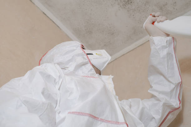 Best Residential Mold Removal  in Eldridge, IA
